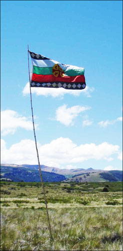 Bandera Mapuche