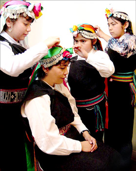 Lamngenes Mapuche
