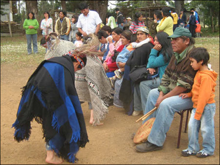 image trawun choike mapuche