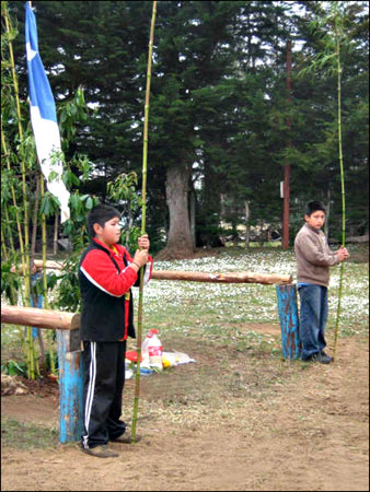 image jovenes mapuche