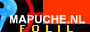 mapuche banner