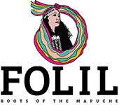 Mapuche Foundation Folil